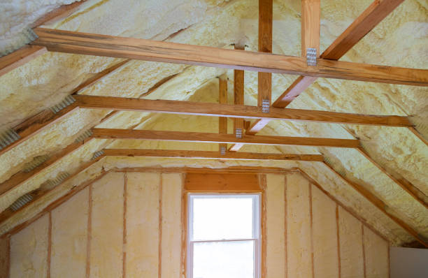 Best Insulation for Specific Applications in Clio, AL