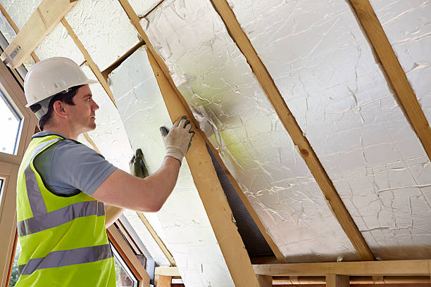 Best Residential Insulation in Clio, AL